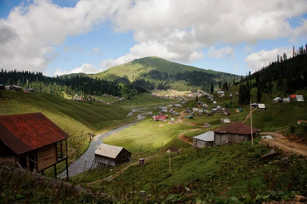 Uitzicht op de bergen bedekt met bos en kleine huisjes op de heuvels — Stockfoto