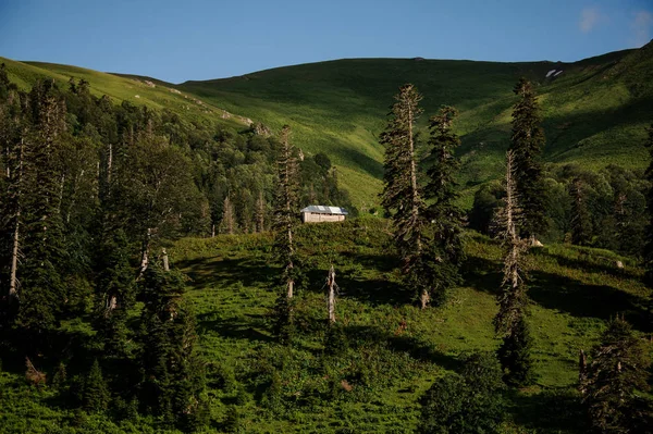 Landschap van het houten huis in het midden van het veld tussen de bomen — Stockfoto