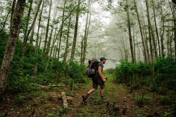 Homme fort avec un sac à dos marchant dans la forêt verte avec le brouillard dans le lointain — Photo