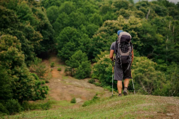 緑の森の中でハイキングバックパックと棒で歩く男 — ストック写真