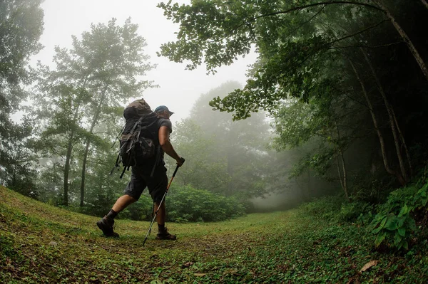 Mannelijke toerist met rugzak wandelen door bos — Stockfoto