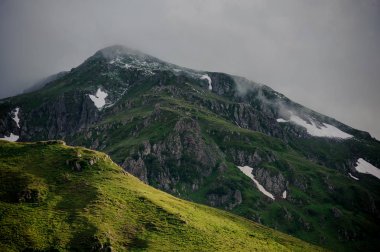 Ağaçlar ve sisli üstleri ile tepelerin Manzara