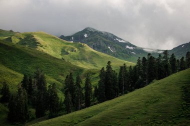 Ağaçlar ve bulutlu gökyüzü ile tepelerin Manzara