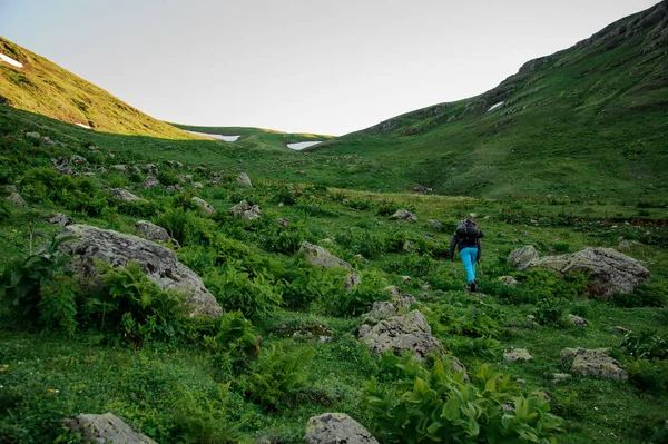 Manlig turist med ryggsäck gå igenom dalen — Stockfoto