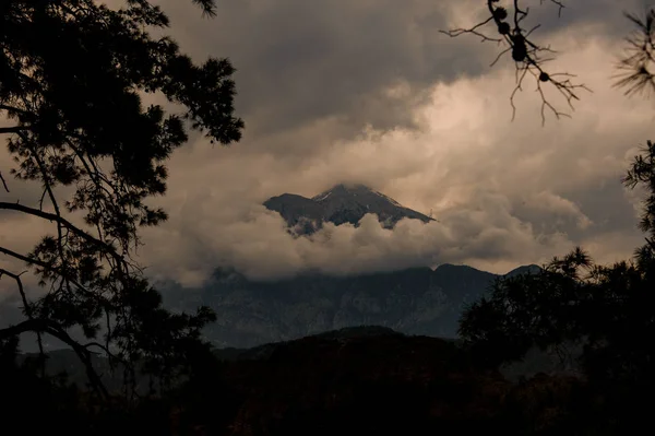 Tierras altas de Turquía cubiertas de niebla con bosque cercano — Foto de Stock