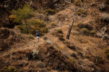 Sırt çantası ile Kadın yürüyüşçü tepelerde seyahat