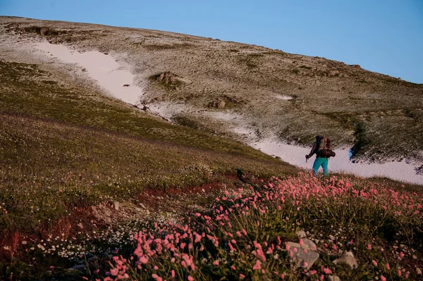 Чоловік стоїть на полі пагорба з пішохідним рюкзаком і палицями на передньому плані рожевих квітів — стокове фото