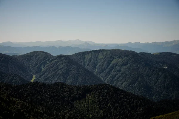 常緑の森に覆われた日の澄んだ空の下の山々の眺め — ストック写真