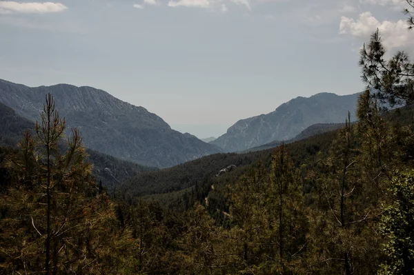 나무로 덮인 언덕과 산의 풍경 — 스톡 사진