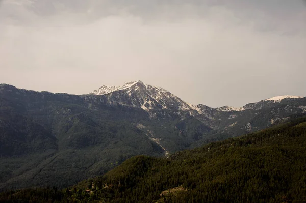 Landskap av bergen täckt grönska och snö — Stockfoto