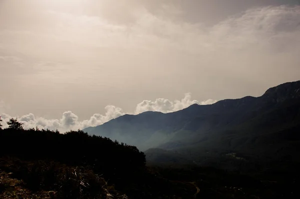 구름 아래 녹색 나무로 덮여 언덕의 풍경 — 스톡 사진