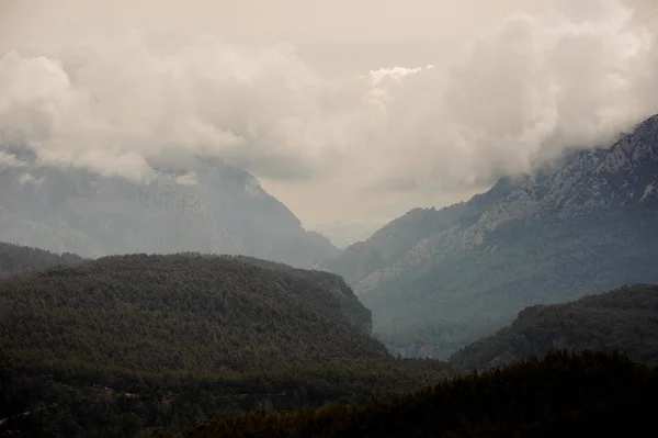 Landskap av kullarna som täcks av gröna träd under fluffiga moln — Stockfoto