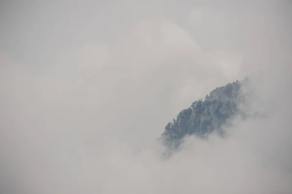 Paisagem do pico de montanha coberto por árvores no nevoeiro — Fotografia de Stock