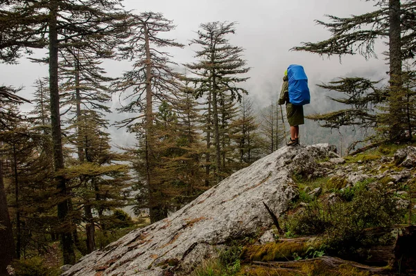 Girl in the raincoat standing on the big rock with hiking backpack and sticks