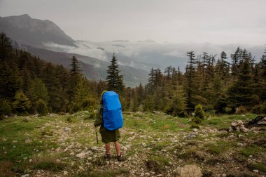 Yürüyüş sırt çantası ve sopaile ayakta yağmurluk arka görüş kız