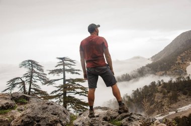 Kayanın üzerinde duran gömlekli arka görüşteki adam