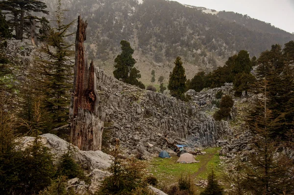 Paisagem das montanhas cobertas por árvores com tendas de turistas embaixo — Fotografia de Stock