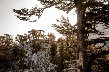 Tahtalı Dağı'nın eteklerindeki kayalık tepelerin güzel manzarası