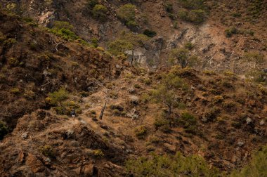 Kahverengi kayaların nefes kesen dokulu arka plan manzarası