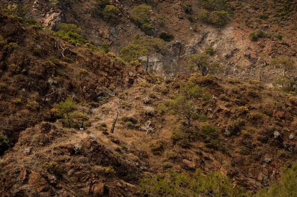 Дивовижний текстурований фон пейзаж коричневих скель — стокове фото