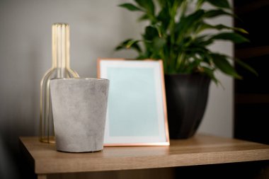 Üzerinde farklı aksesuarlar ve yeşil bitkiler bulunan ahşap yüzey