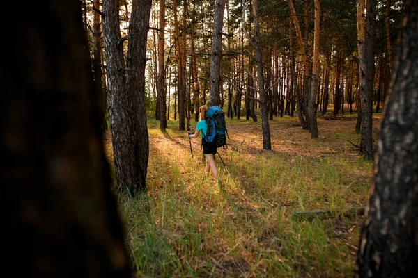 Vue arrière de la femme avec sac à dos et des bâtons dans ses mains dans la forêt — Photo