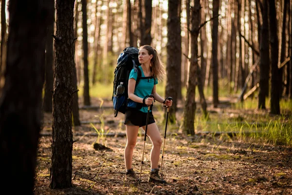Jeune belle femme marche dans le bois et regarde loin. — Photo