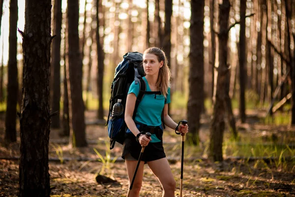 Jeune femme marche dans le bois et regarde loin. — Photo