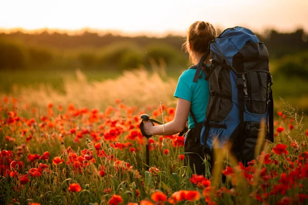 Vista trasera de la joven atractiva mujer con mochila y bastones de pie en el campo de amapolas —  Fotos de Stock