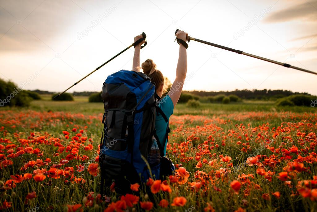 Rear view of woman on poppy field with hands raised in which sticks for walking.