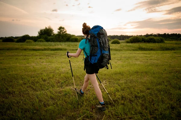 Vista posteriore della donna con abbigliamento sportivo che cammina lungo il campo erboso — Foto Stock