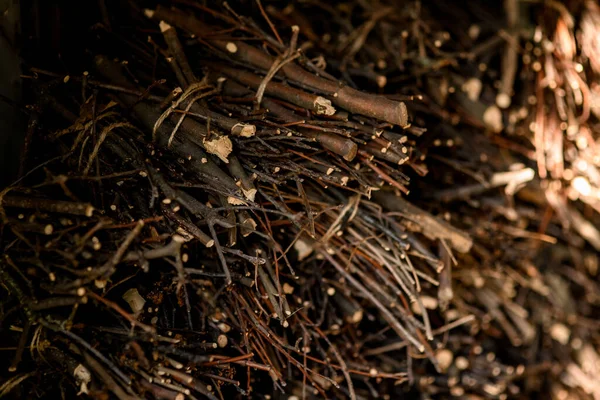 Muitos pequenos ramos de madeira cortados e empilhados uns em cima dos outros — Fotografia de Stock