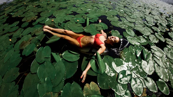 Su zambaklarının arasında yüzen genç bir kadın. — Stok fotoğraf