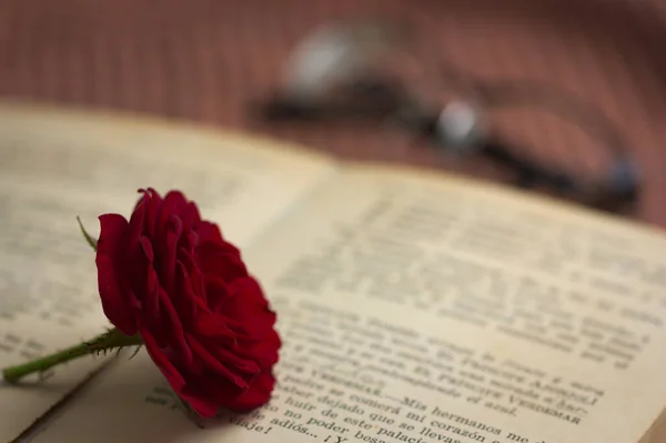 Eski bir kitabın sayfalarının üzerinde kırmızı bir gül, arka planda okuma gözlüğü masanın üzerinde görülebilir