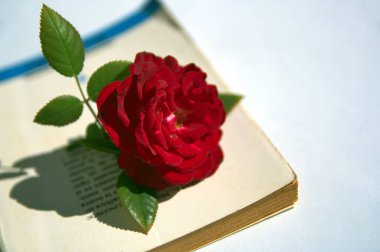 Romantik edebiyat kitabının kapağında yaprakları olan kırmızı bir gül. Kopya alanı ile romantik kavramsal resim