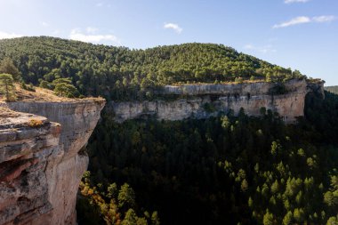 Çam ağaçları ve kayaların doğal manzarası