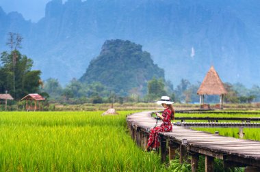 Vang Vieng, Laos yeşil pirinç alan ahşap yolu üzerinde oturan genç kadın.