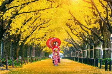 Sonbaharda sarı ginkgo ağacında geleneksel Japon kimonosu giyen güzel bir kız. Tokyo, Japonya 'da sonbahar parkı.