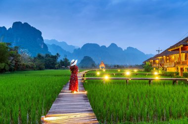 Vang Vieng, Laos yeşil pirinç alan ahşap yolda yürüyen genç kadın.