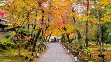 Renkli sonbahar yaprakları ve yürüyüş yolu Park, Kyoto, Japonya. Fotoğrafçı sonbahar bir fotoğraf çekmek.