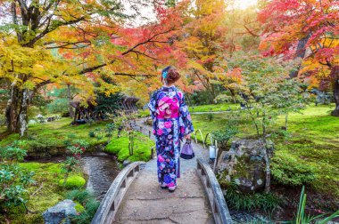 Sonbahar parkta Japon geleneksel kimono giyen Asyalı kadın. Kyoto, Japonya.