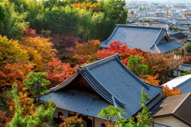 renkli sonbahar yaprak ve Tapınağı çatı Kyoto, Japonya.