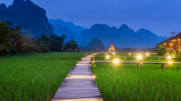 Sendero Madera Campo Arroz Verde Por Noche Vang Vieng Laos — Foto de Stock