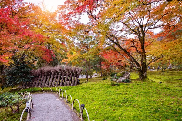 Foglie Colorate Autunno Bellissimo Parco Giappone — Foto Stock