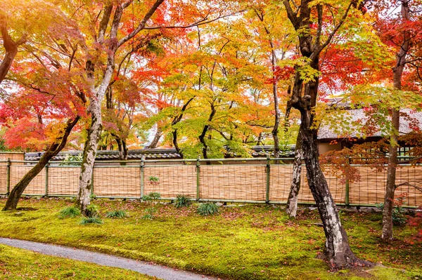 色鮮やかな紅葉と公園 日本の京都の散歩道 — ストック写真