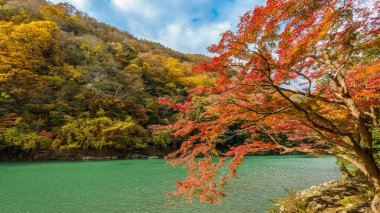 Arashiyama Kyoto, Japonya Nehri boyunca Sonbahar sezonu.