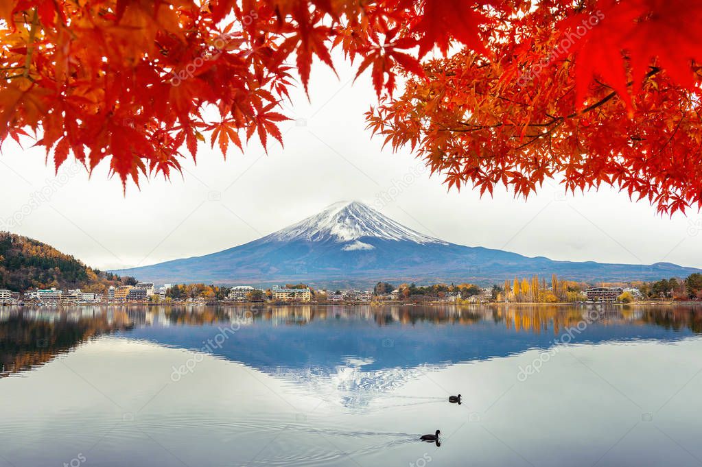 Autumn Season and Fuji mountain at Kawaguchiko lake, Japan.