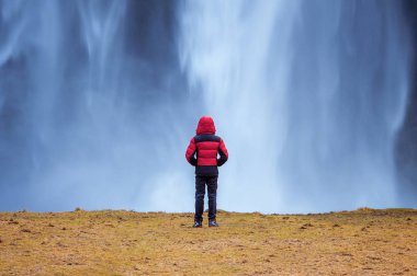 İzlanda'daki Seljalandsfoss şelale. Seljalandsfoss şelale kırmızı ceketli çocuk görünüyor.