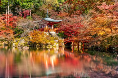 Sonbahar, Kyoto Daigoji Tapınağı. Sonbahar mevsim Japonya.
