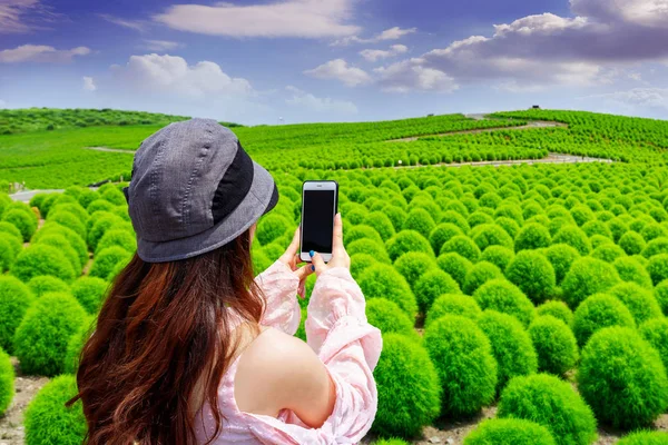 Young Woman Take Photos Hitachi Seaside Park Japan — Stock Photo, Image